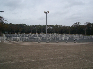 DSC08767.jpg