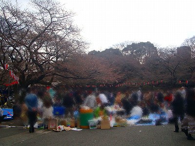 DSC09038.jpg