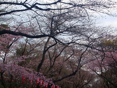 DSC09048.jpg