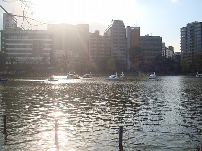 DSC09054.jpg