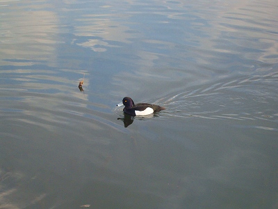 DSC09056.jpg