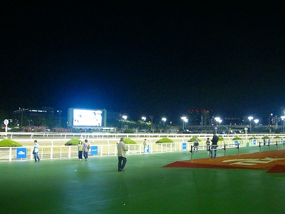 DSC00823.jpg