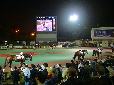 DSC00837.jpg