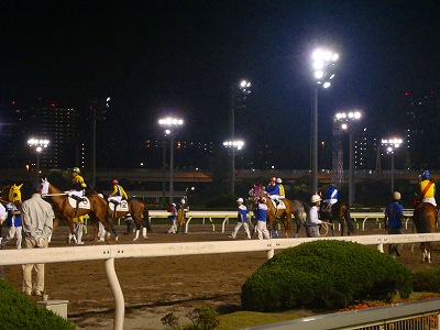 DSC00855.jpg