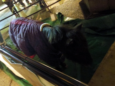 130101 042_edited-1.jpg