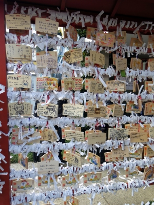 130103 046_edited-1.jpg