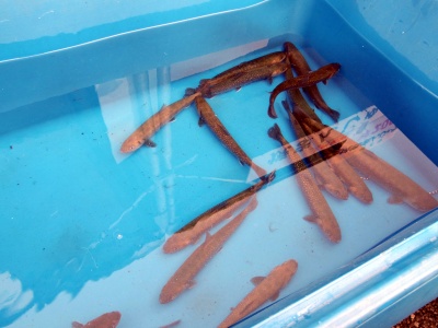 130119 039_edited-1.jpg