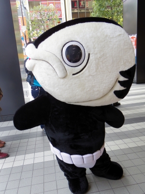 130324 136_edited-1.jpg