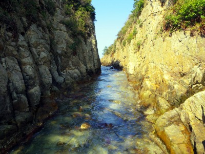 画像140131-12 001 (25)_edited-1.jpg