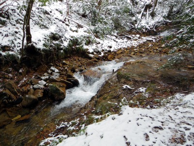 画像140206 008_edited-1.jpg