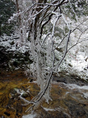 画像140206 018_edited-1.jpg