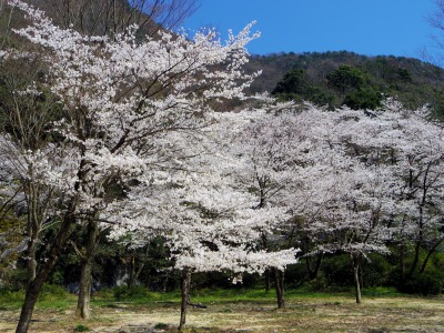画像140402 017_edited-1.jpg