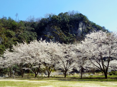 画像140402 019_edited-1.jpg