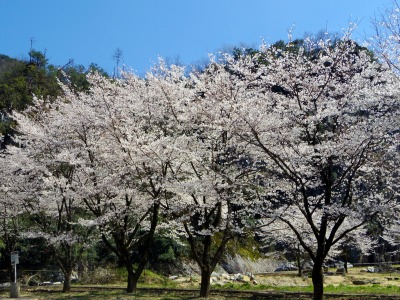 画像140402 020_edited-1.jpg