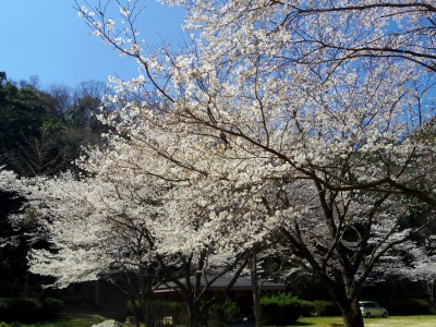 画像140402 022_edited-1.jpg