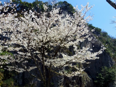 画像140402 023_edited-1.jpg