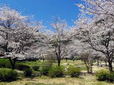 画像140402 024_edited-1.jpg