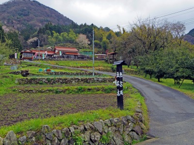 画像140405 002_edited-1.jpg