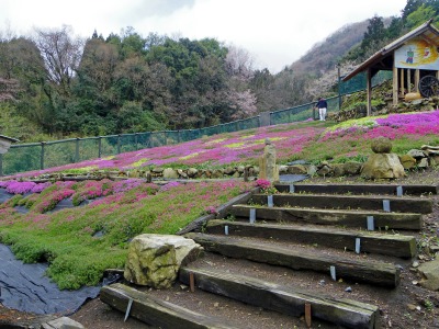 画像140405 020_edited-1.jpg