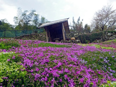 画像140405 023_edited-1.jpg