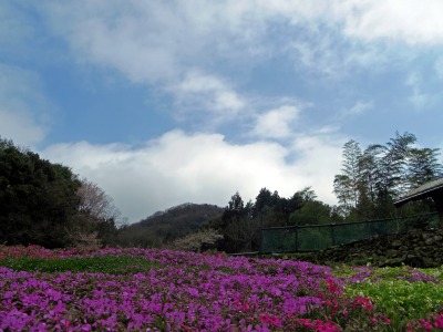 画像140405 024_edited-1.jpg