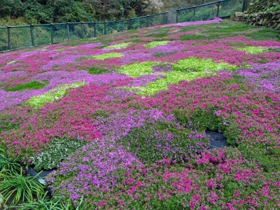 画像140405 036_edited-1.jpg