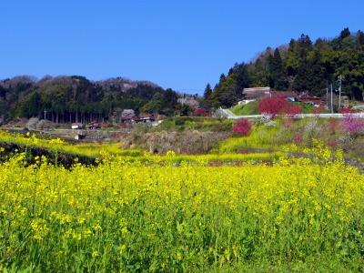 画像140415 008_edited-1.jpg