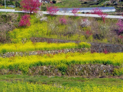 画像140415 015_edited-1.jpg