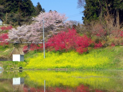 画像140415 019_edited-1.jpg