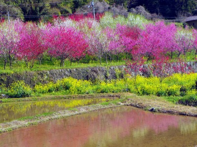 画像140415 024_edited-1.jpg
