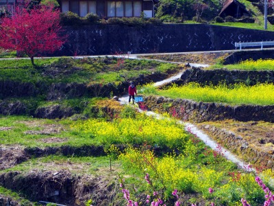 画像140415 031_edited-1.jpg