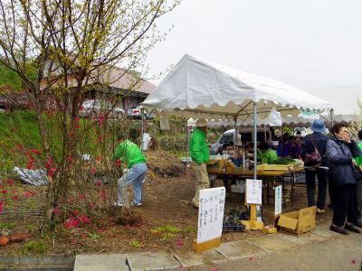 140424 005_edited-1.jpg