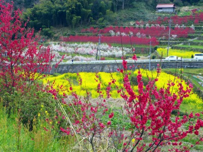 140424 015_edited-1.jpg