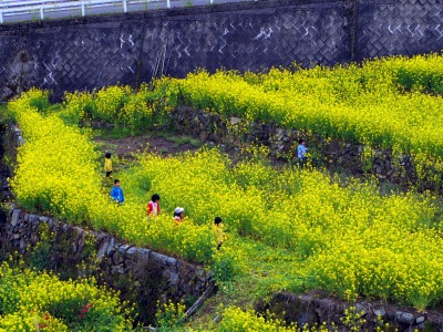 140424 022_edited-1.jpg