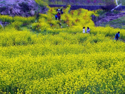 140424 027_edited-1.jpg