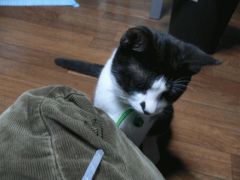 チューブ1