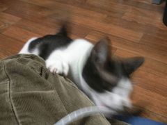 チューブ3
