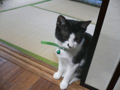 目を見ろ、そして信じろ。