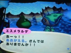 カエル仲間。