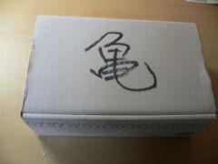 080202亀ボックス。