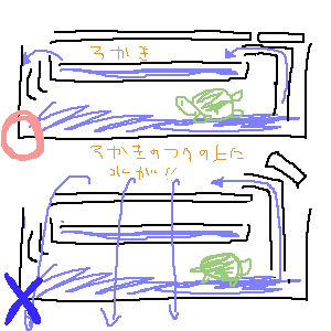 水槽公害。