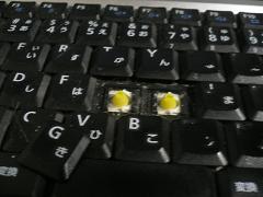 キーボード 紛失 猫