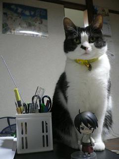 ねんどろいど 猫