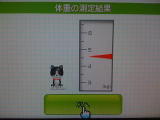 Wii Fit plus ペット測定