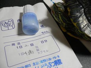 亀のお薬