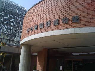 夢の島熱帯植物館