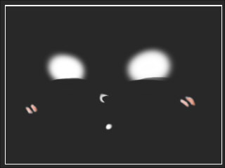 DSイメージ画像。