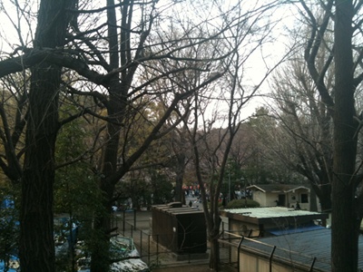 20110402 上野公園