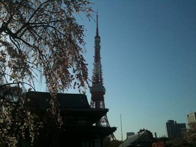 20110405 増上寺