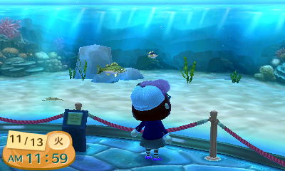どうぶつの森 博物館 魚